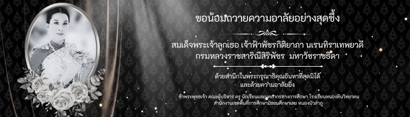 โรงเรียนหนองหินวิทยาคม